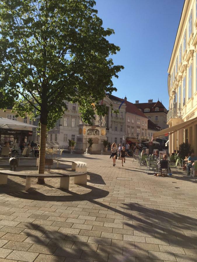 Terrasse Wohnungen Mit Parking In Zentrum Badeni járás Kültér fotó