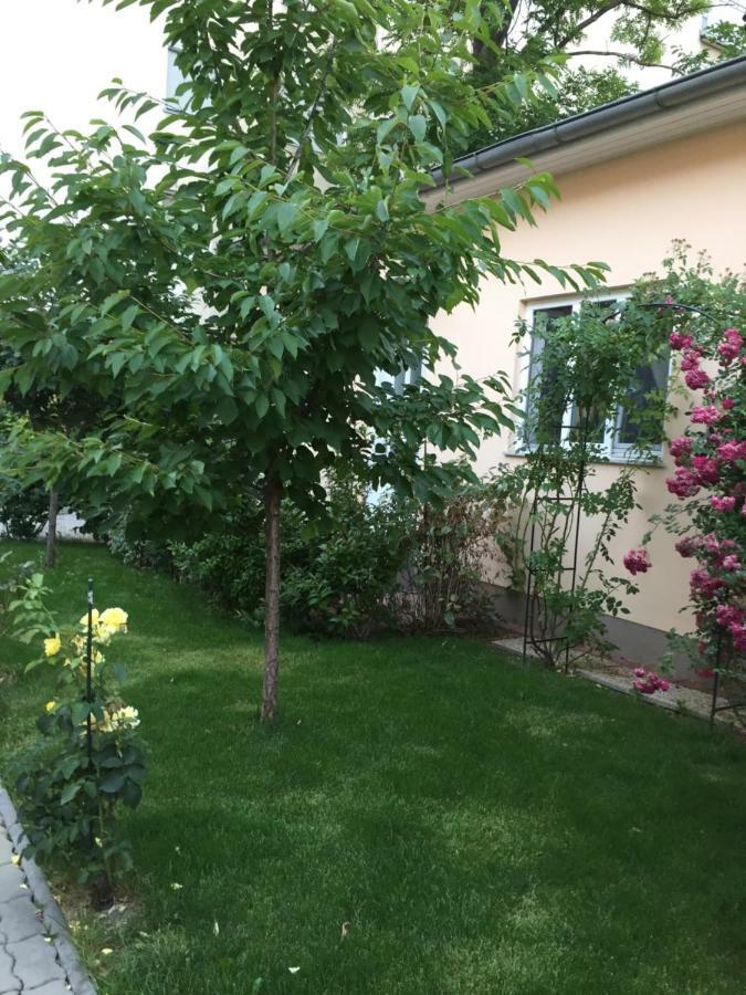 Terrasse Wohnungen Mit Parking In Zentrum Badeni járás Kültér fotó