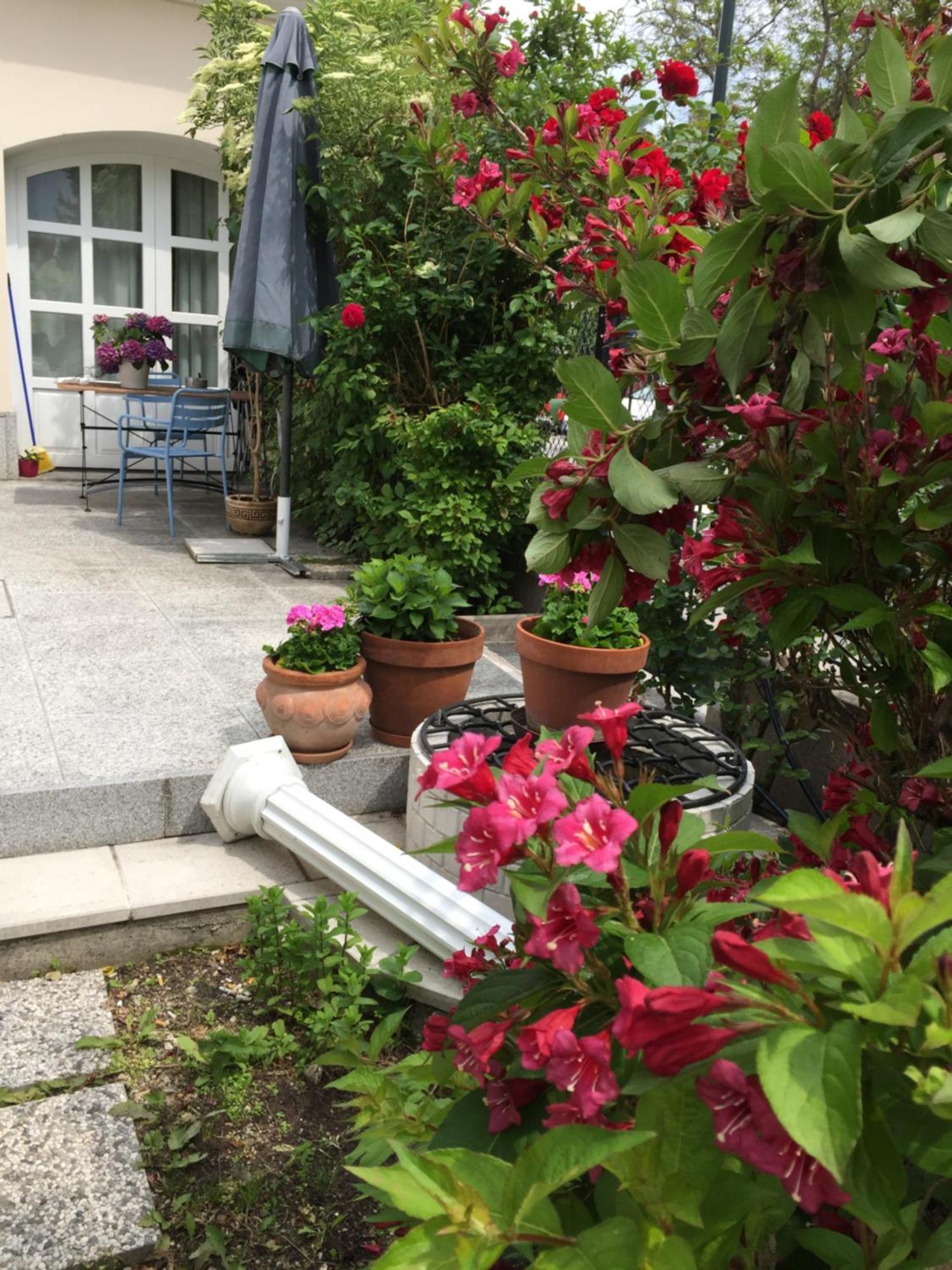 Terrasse Wohnungen Mit Parking In Zentrum Badeni járás Kültér fotó