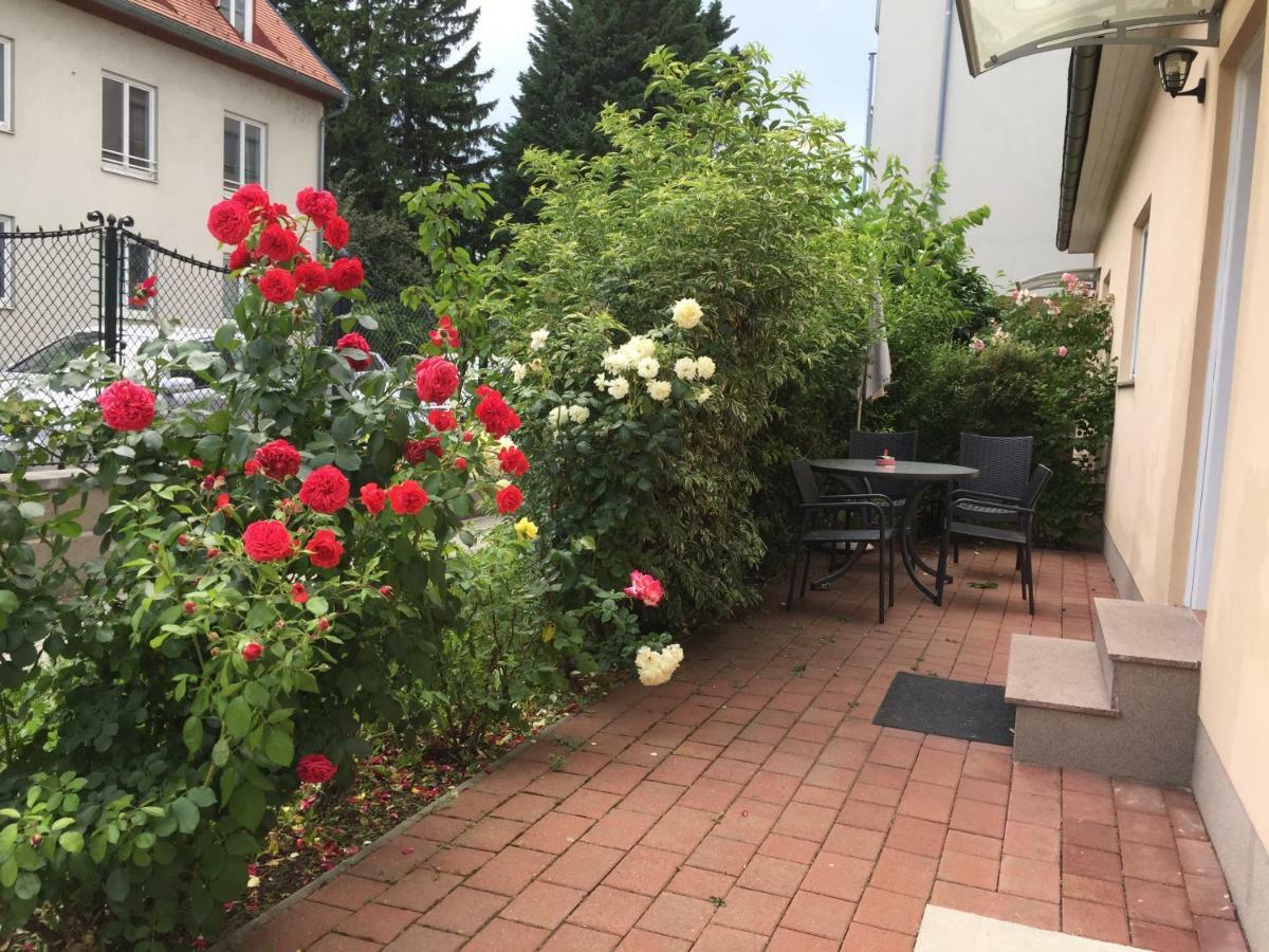 Terrasse Wohnungen Mit Parking In Zentrum Badeni járás Kültér fotó